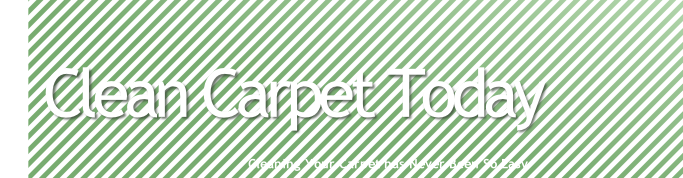 Cleaning Your Carpet has Never Been So Easy